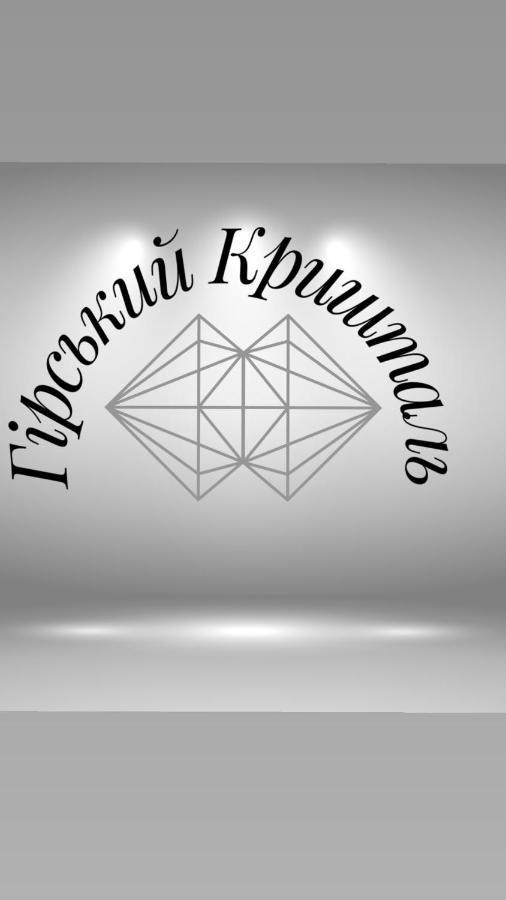 Гірський Кришталь Daire Skole Dış mekan fotoğraf